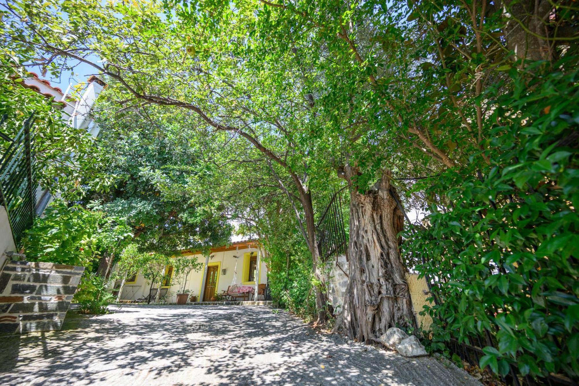 Small Villa Gerani Agios Vlasios  外观 照片